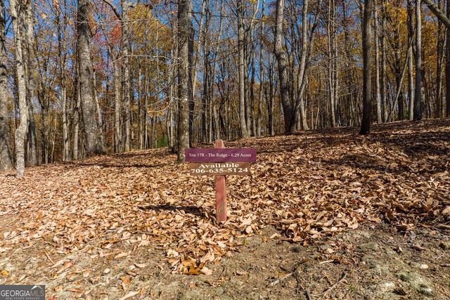LT 17R Tanager Trail, Ellijay, GA 30536