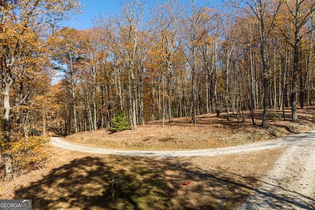 LT 17R Tanager Trail, Ellijay, GA 30536