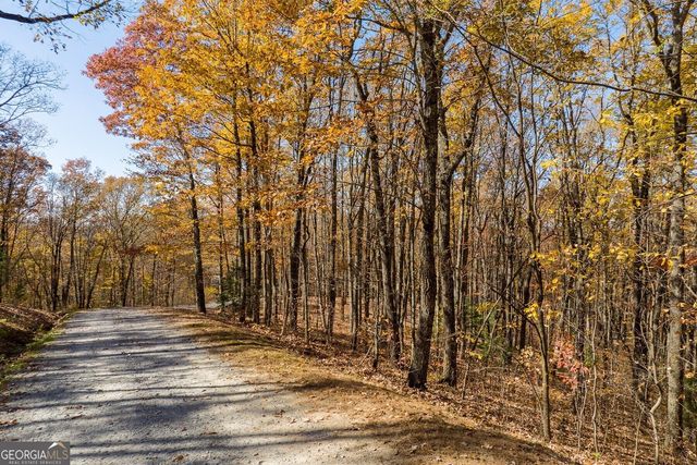 LT 17R Tanager Trail, Ellijay, GA 30536