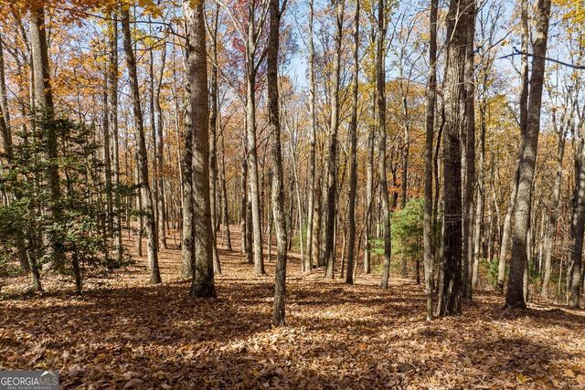 LT 17R Tanager Trail, Ellijay, GA 30536