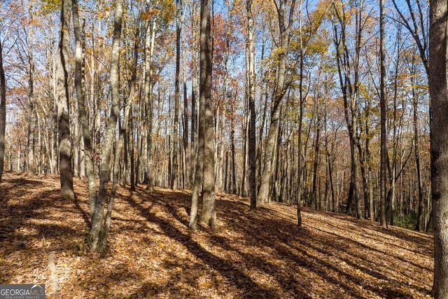 LT 17R Tanager Trail, Ellijay, GA 30536