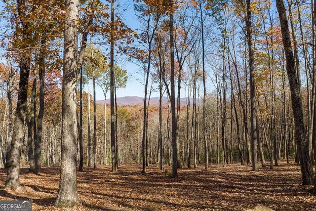 LT 17R Tanager Trail, Ellijay, GA 30536