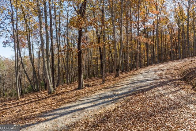 LT 17R Tanager Trail, Ellijay, GA 30536