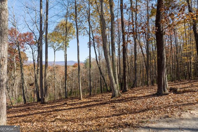 LT 17R Tanager Trail, Ellijay, GA 30536