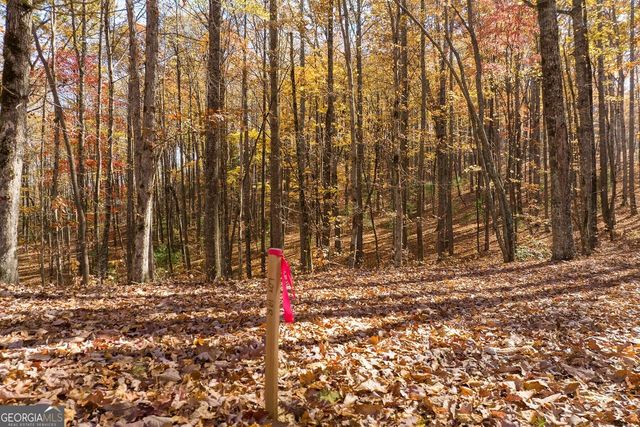 LT 17R Tanager Trail, Ellijay, GA 30536