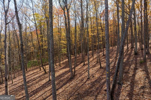 LT 17R Tanager Trail, Ellijay, GA 30536