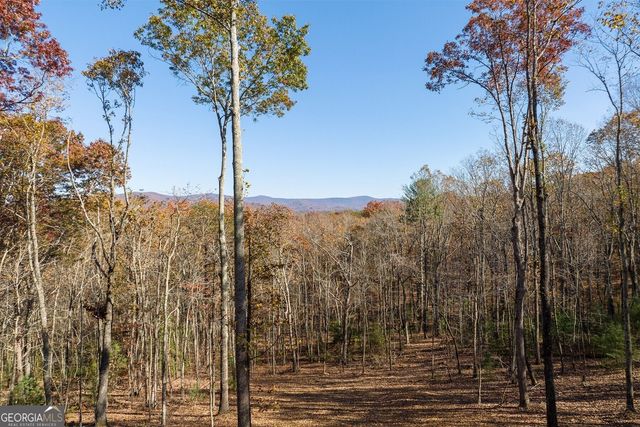 LT 17R Tanager Trail, Ellijay, GA 30536