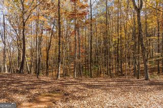 LT 17R Tanager Trail, Ellijay, GA 30536