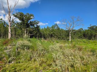 000 Sapphire Dr., Purvis, MS 39475