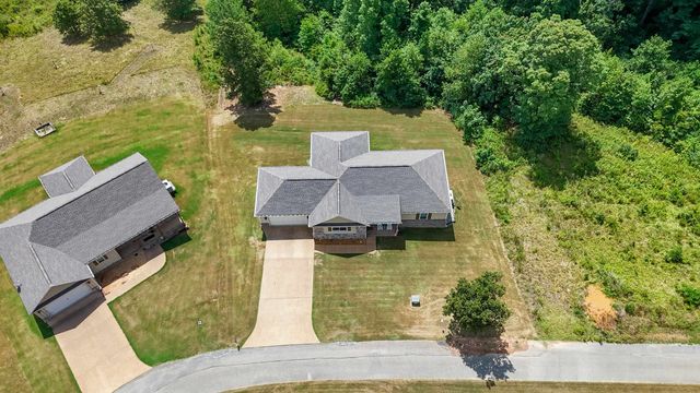 60 AWESOME VIEW CIR, Counce, TN 38326