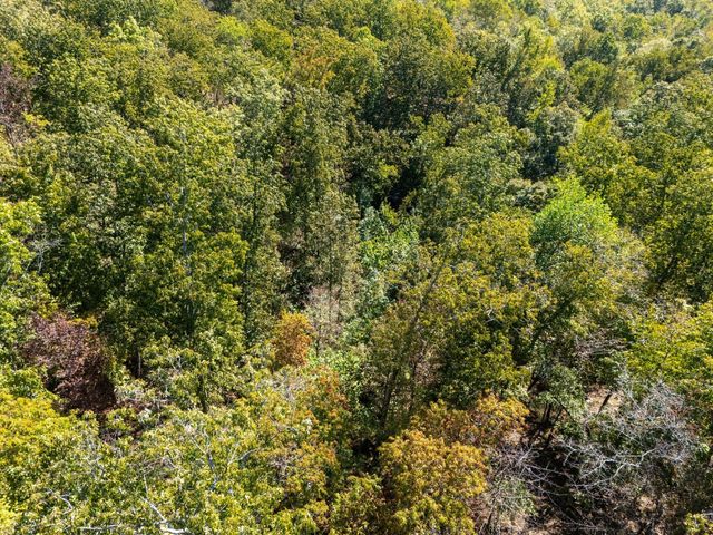 33 Vista Ridge Dr, Stewart, TN 37175