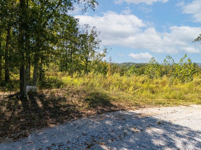 33 Vista Ridge Dr, Stewart, TN 37175