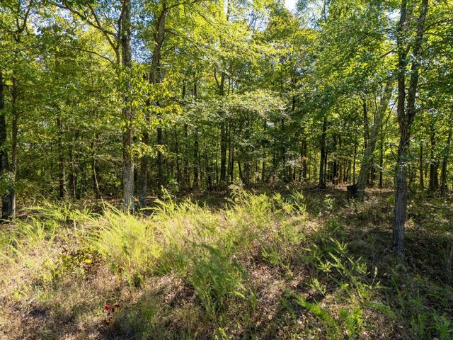 33 Vista Ridge Dr, Stewart, TN 37175