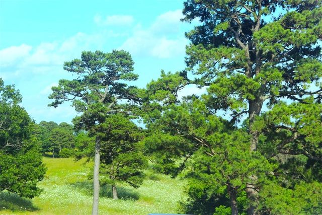 2333 CR 507, Berryville, AR 72616