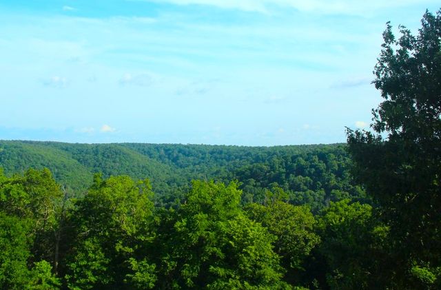 2333 CR 507, Berryville, AR 72616
