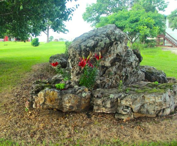 2333 CR 507, Berryville, AR 72616