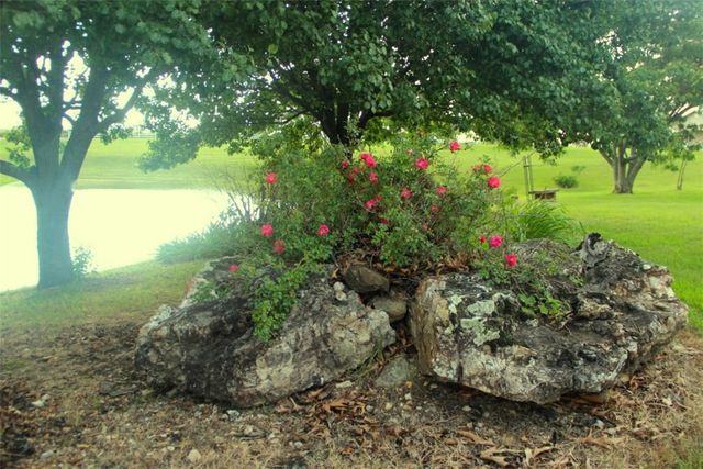 2333 CR 507, Berryville, AR 72616