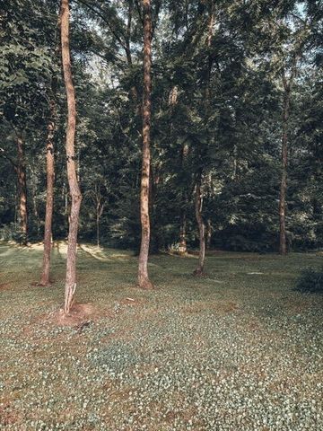 1975 Dowdy Road, SE, Cleveland, TN 37323