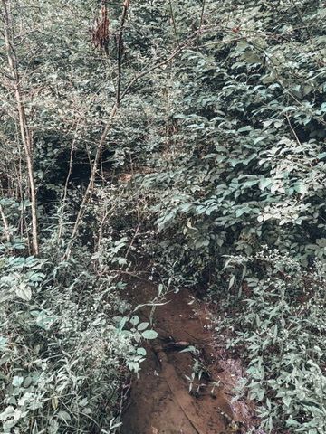 1975 Dowdy Road, SE, Cleveland, TN 37323