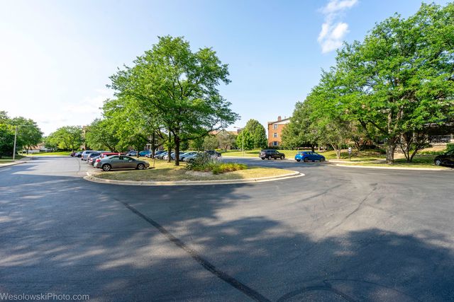 641 Hapsfield Lane 201, Buffalo Grove, IL 60089