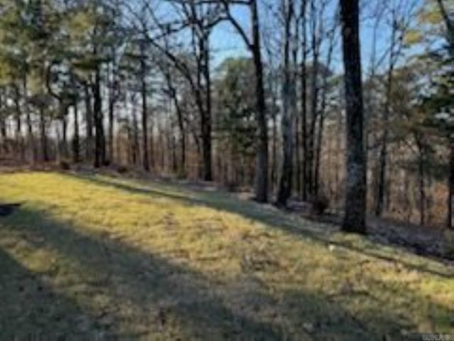 15203 Springer Road, Maumelle, AR 72113