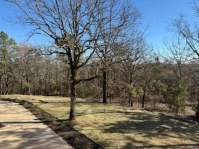 15203 Springer Road, Maumelle, AR 72113