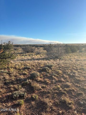 1565 PUMPKIN PATCH Road, Winslow, AZ 86047