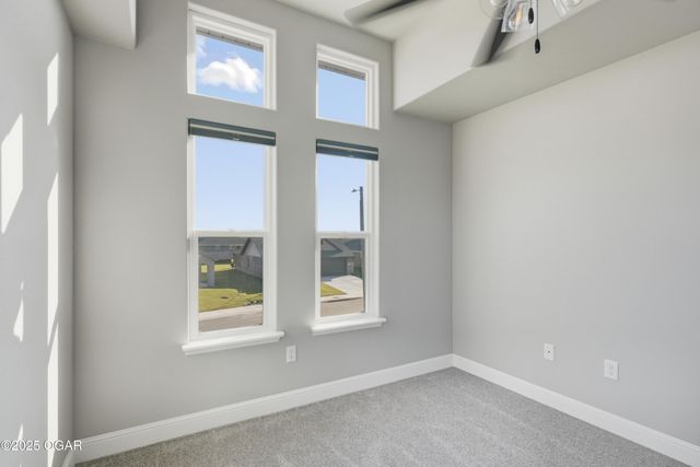 205 Molly Dean Drive, Duenweg, MO 64841