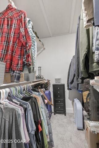 205 Molly Dean Drive, Duenweg, MO 64841