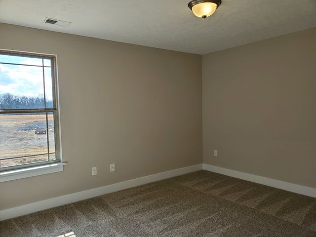 2913 Valley Farms Drive, Christiana, TN 37037