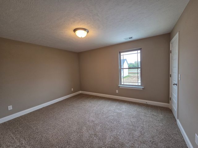 2913 Valley Farms Drive, Christiana, TN 37037