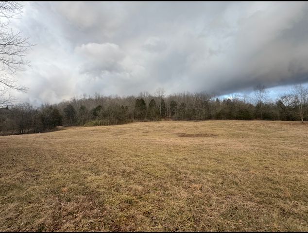 502 Rogues Fork Rd, Bethpage, TN 37022