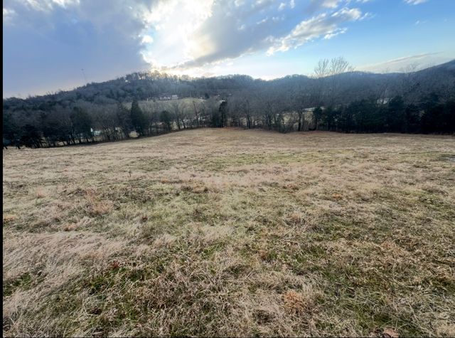 502 Rogues Fork Rd, Bethpage, TN 37022