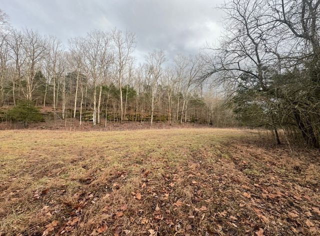 502 Rogues Fork Rd, Bethpage, TN 37022