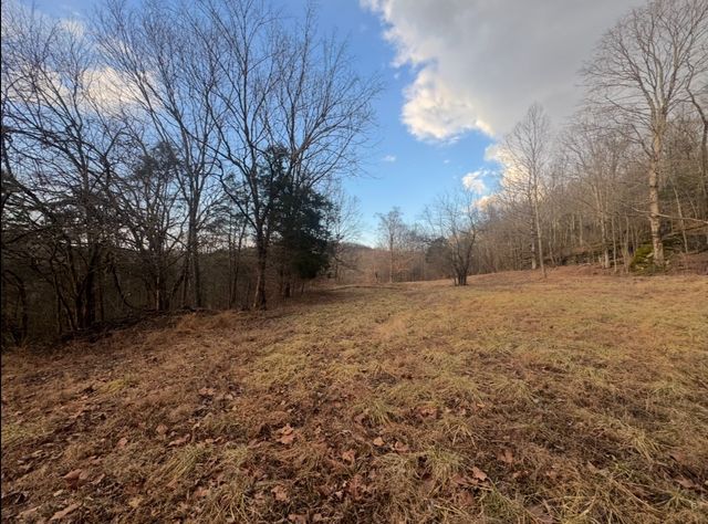 502 Rogues Fork Rd, Bethpage, TN 37022