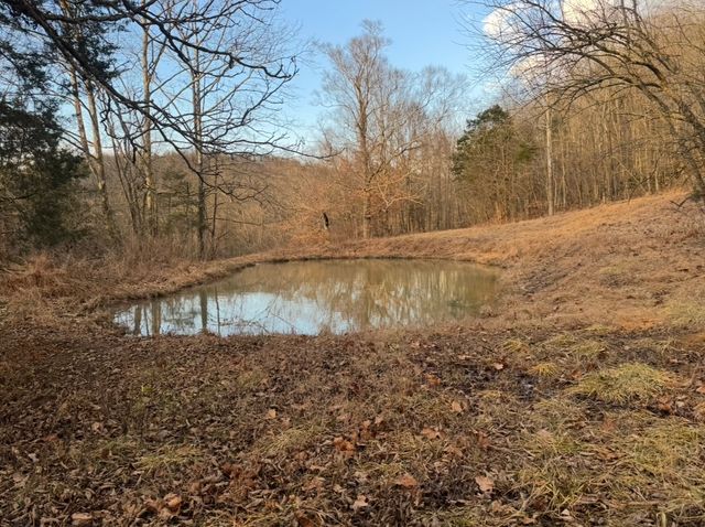 502 Rogues Fork Rd, Bethpage, TN 37022