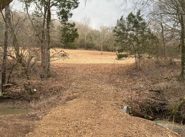 502 Rogues Fork Rd, Bethpage, TN 37022