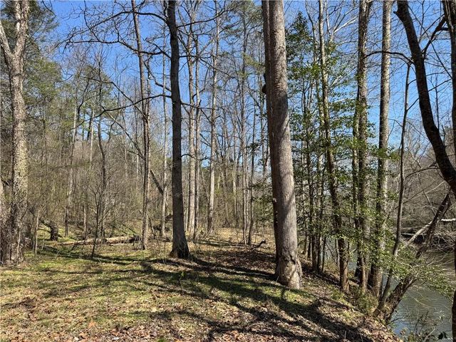 0 Lewis Grindle Parcel 1 Road, Dahlonega, GA 30533