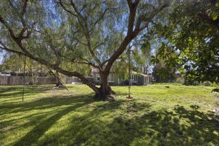 803 & 803 1/2 Taylor Street, Vista, CA 92084