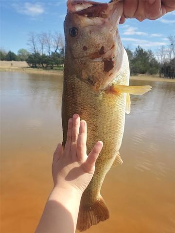 14920 N Harrah Road, Luther, OK 73054