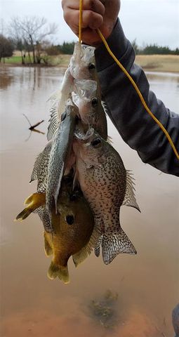 14920 N Harrah Road, Luther, OK 73054