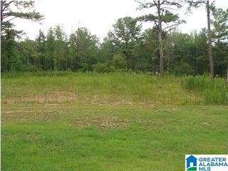 9166 THERMAL ROAD, Warrior, AL 35180
