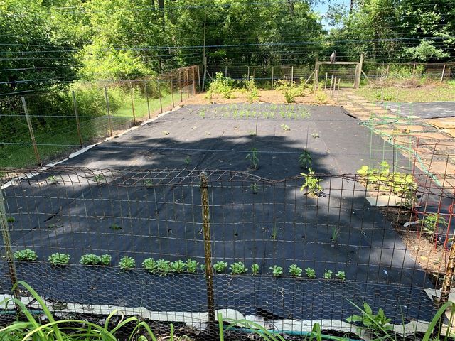 4080 Joanne Court, Ann Arbor, MI 48103