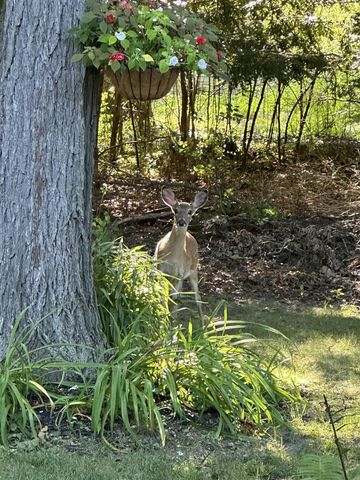 4080 Joanne Court, Ann Arbor, MI 48103