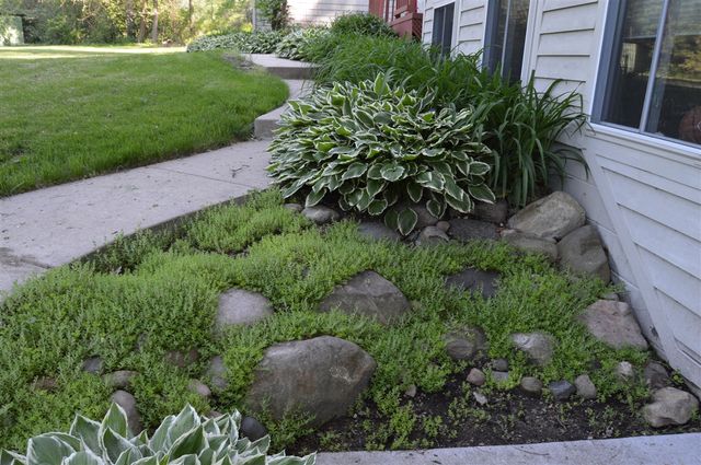 4080 Joanne Court, Ann Arbor, MI 48103