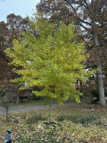 4080 Joanne Court, Ann Arbor, MI 48103