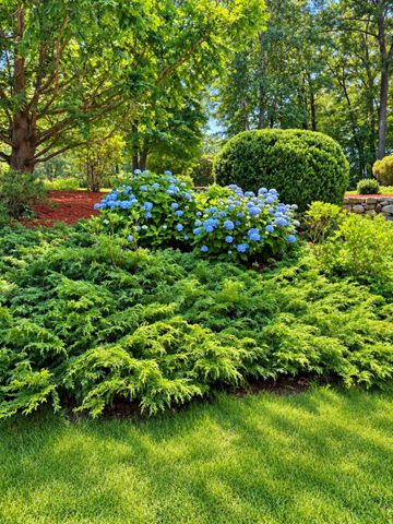 52 Brentwood, Chelmsford, MA 01824
