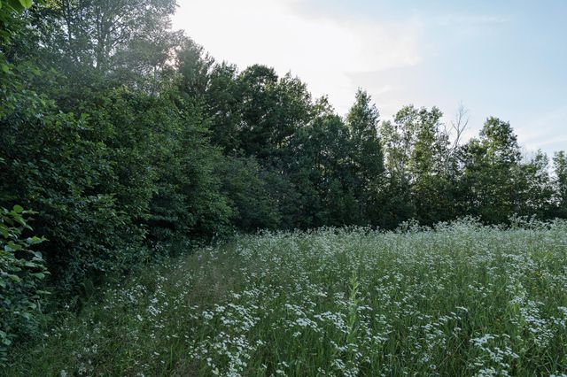 18467 Vineland Road, Kathio Twp, MN 56359