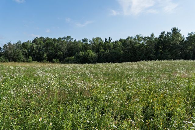 18467 Vineland Road, Kathio Twp, MN 56359