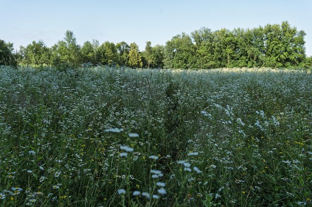 18467 Vineland Road, Kathio Twp, MN 56359